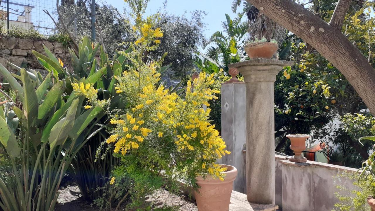 Villa Dorothee Capri Exterior foto