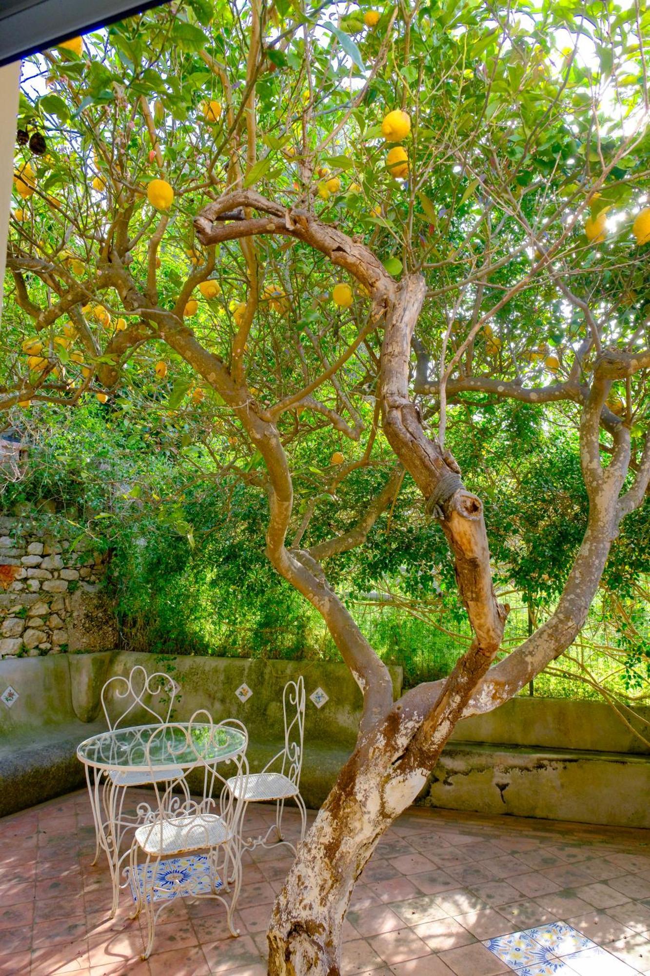 Villa Dorothee Capri Exterior foto